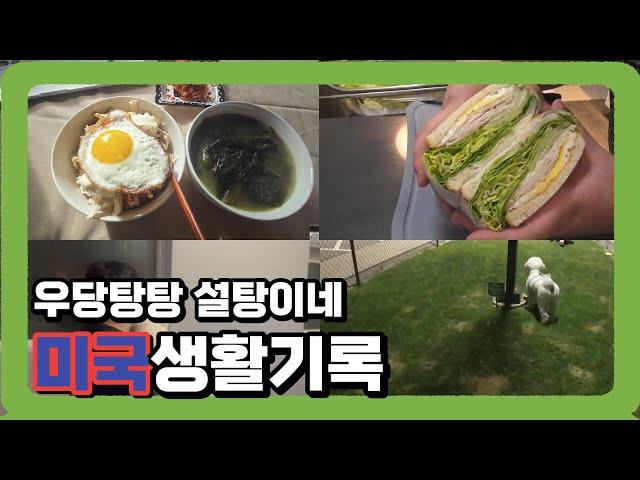 우당탕탕 설탕이네 미국생활 브이로그 | Vlog with my dog | 오클라호마 | 남편 도시락 | what i cook for my husband | OKC Vlog