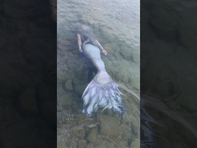 SILVER MERMAID DISAPPEARS INTO THE WATER #shorts