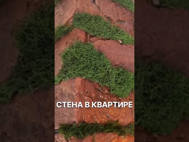 Круто сделано. Старый кирпич и мох #shortvideo #shorts #мох #дизайн #красиваястена  #ремонтквартиры