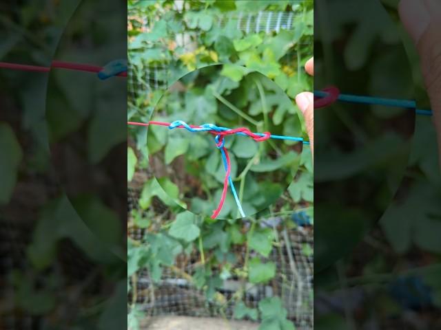 Essential end rope connection/ a Dropper Bend. #knot #shorts