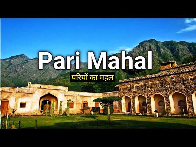 Pari Mahal Srinagar | History Of Pari Mahal | The Majestic Seven Terraced Garden #parimahal