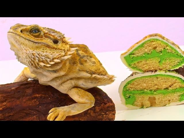 I Ate My Beardie! (Listing Each Decade's Most Popular Pets)