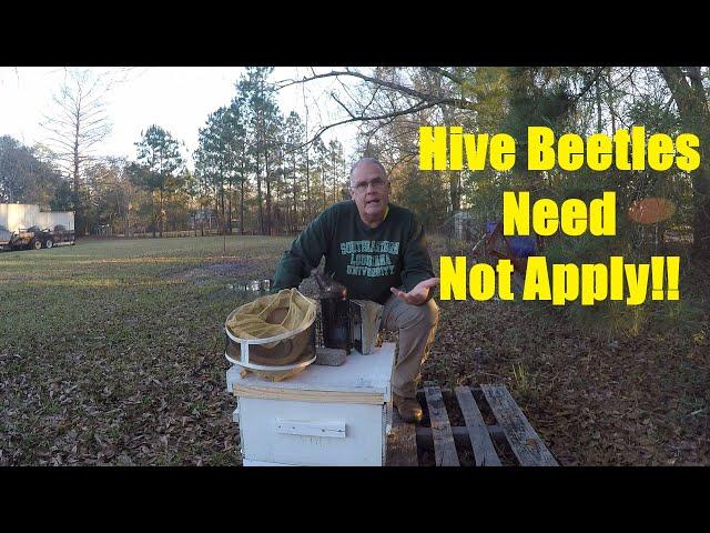 Small Hive Beetle Eradication in a Hive
