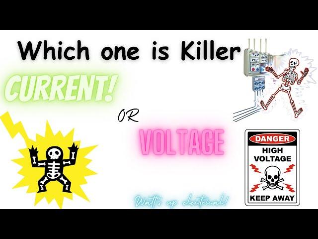 Which is the Killer, Current or Voltage | Which Is More Dangerous Amp or Volts | WattsUpElectrical