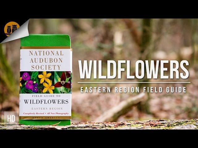 Field Guides | Wildflowers - Eastern USA | National Audubon Society | Field Review