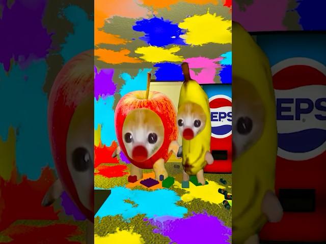 Gman Trolled Bananacat and Applecat #gmod 