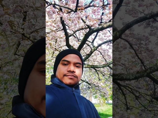 Ononto khan# quality time with nature# Liverpool # newham park# travelling # United Kingdom!