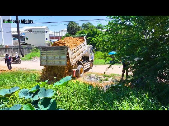 Good Full Video, Bulldozer Working, Processing Filling Up The Land huge, Dump Truck Unloading