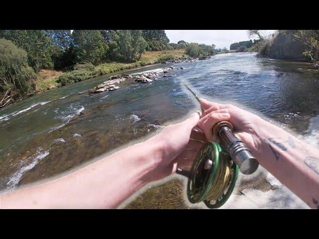 Fishing The BROWN TROUT CAPITAL Of The World (Fishing In A Fly Fishing Competition)