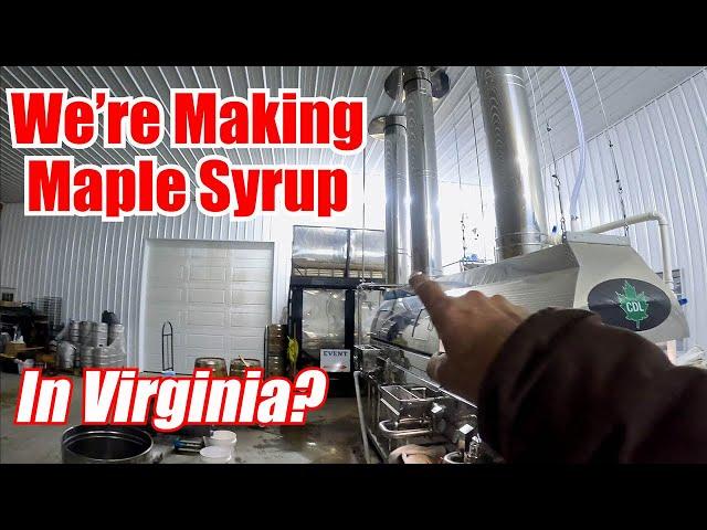 We Make Maple Syrup In Virginia