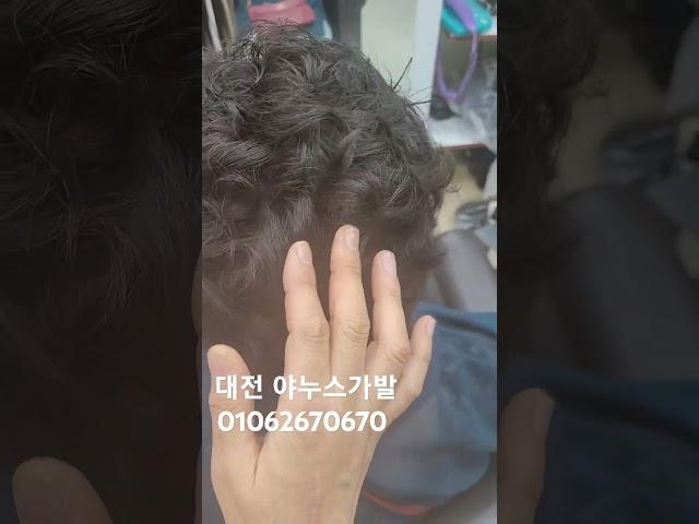인모 100%반가발 작은사이즈   엄마가발 웨이브펌  정말 이렇게 가발이  이뿔수가?  중년스타일 1위업체  대전야누스가발 01062670670