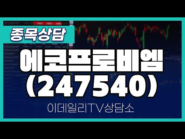 에코프로비엠(247540) - 종목상담 김현구 멘토 (20241130)