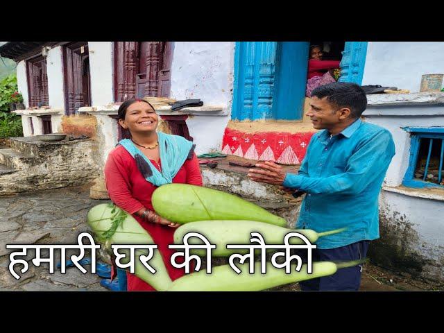 हमारी घर की लौकी  pahadi village life pahadi lifestyle #pahadivillage #pahadivillagelife #pahadi