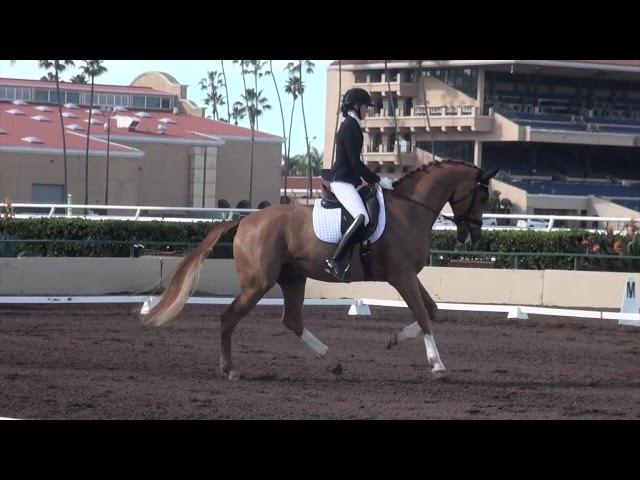 5 easy tips to improve your dressage score