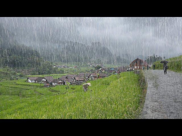 Heavy rain in my quiet village, very cold, immediately fell asleep with the sound of heavy rain