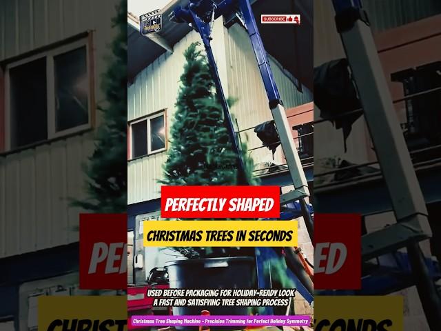 Christmas Tree Shaping Machine – Precision Trimming for Perfect Holiday Symmetry