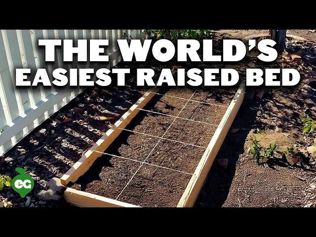 How to Build Cheap, DIY Raised Garden Beds In Under 30 Minutes