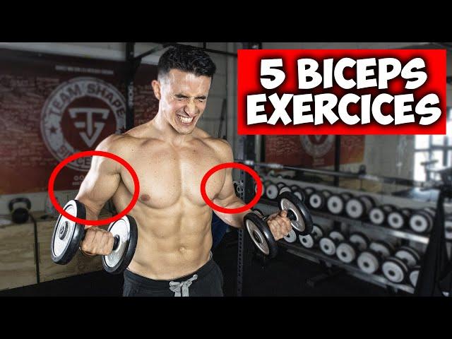 Des bras plus gros en 30jours ! (5 exercices biceps)