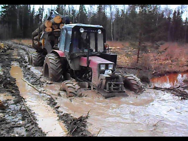 Day in wet forest with Belarus Mtz 892 + homemade trailer