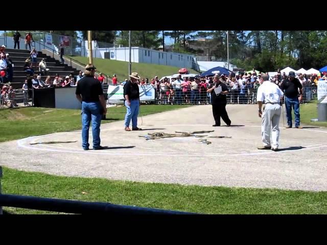 Rattlesnake Race, Opp, AL