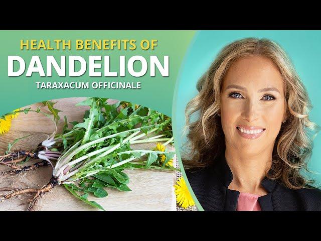 Dandelion | Benefits of Dandelion | Dr. J9 Live