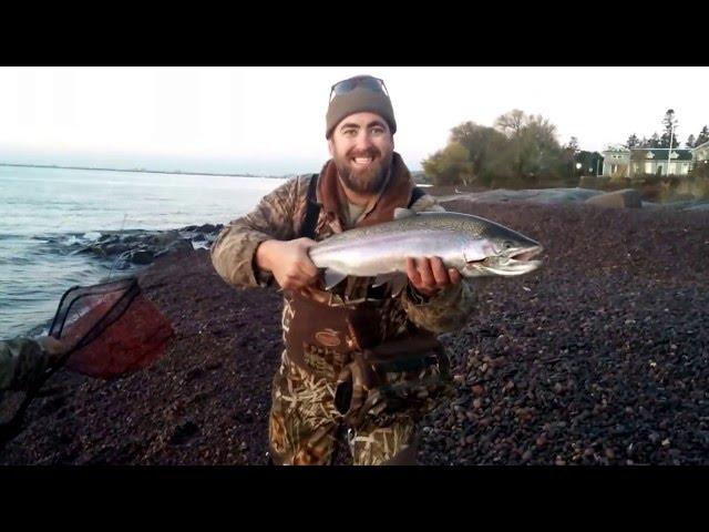 Kamloop Rainbow Trout on the North Shore of Lake Superior