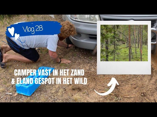 Camper VAST in het ZAND | Eland gespot in het WILD | Reizen met KIDS | @de_avonturenfamilie