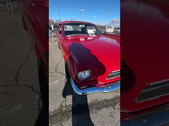 Classic Vehicles #automobile #autogeek #cargeek #americancars #grandpachronicles #mustang #carspot
