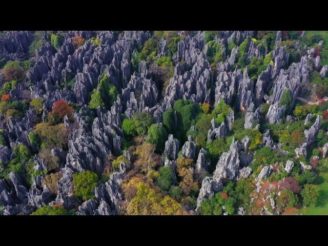 China in Its Natural Glory: A colorful view in Yunnan's Stone Forest