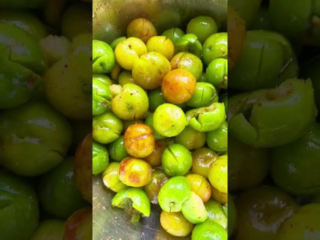 春天到了，果樹三華李成熟了，採摘個不停，美味好吃Spring is here, and the Sanhua plum fruit trees are ripe and picked non-stop