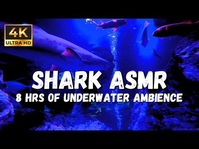 4K Underwater Ambience: Use this if you are Stressed, White Noise for Relaxation