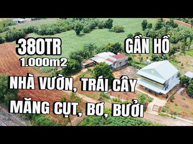 Chú cường kẹt tiền giảm giá bán gấp, nhà vườn đủ loại trái cây, cẩm mỹ đồng nai