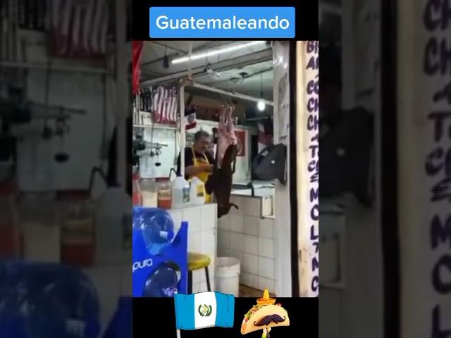 Los Tacos de Guatemala.