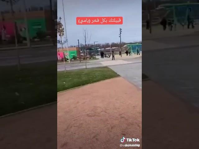 قناه عاديه 