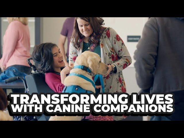 Canine Companions