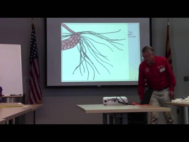 Master Gardener Course: Eight Basic Rules of Botany