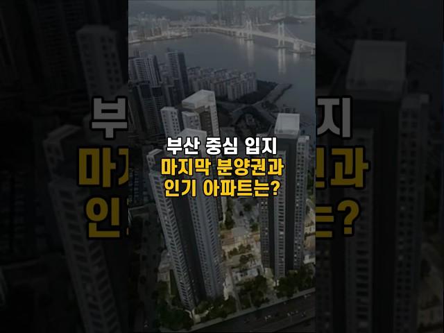 부산 중심 입지, 마지막 분양권과 인기 아파트는?