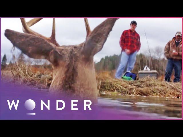 Rogue Deer Attack Nearly Kills Nephew-Uncle Hunting Duo | Fight To Survive S1 EP5 | Wonder