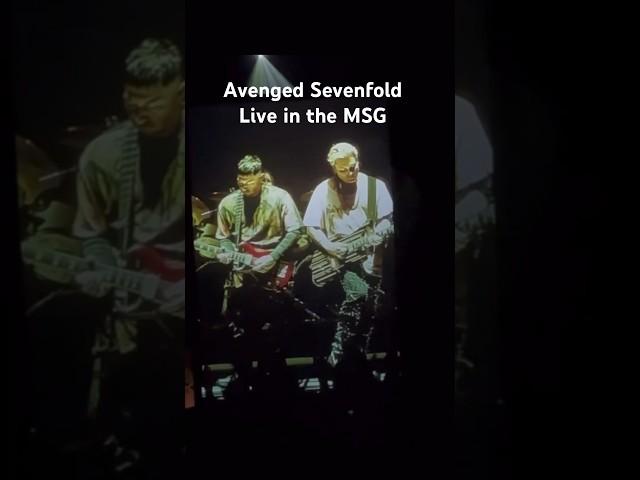 Avenged Sevenfold live in the MSG ️ #avengedsevenfold #guitaraddict #lifeisbutadream