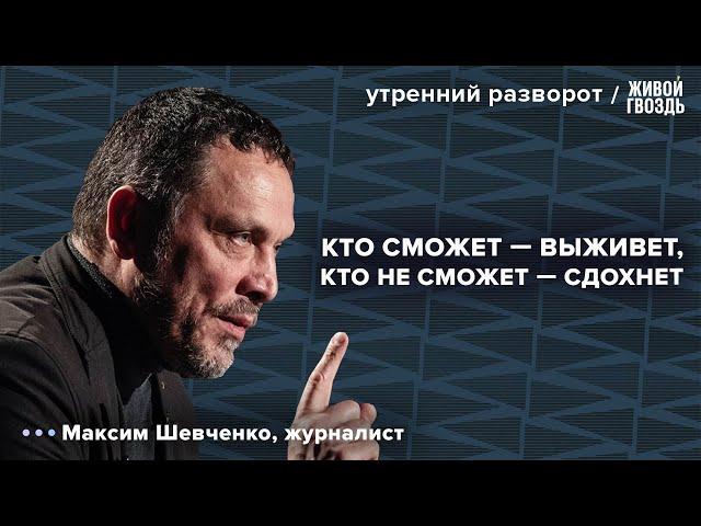 Капитализм и политическое устройство в России. Ливан. Шевченко: Утренний разворот / 25.09.24