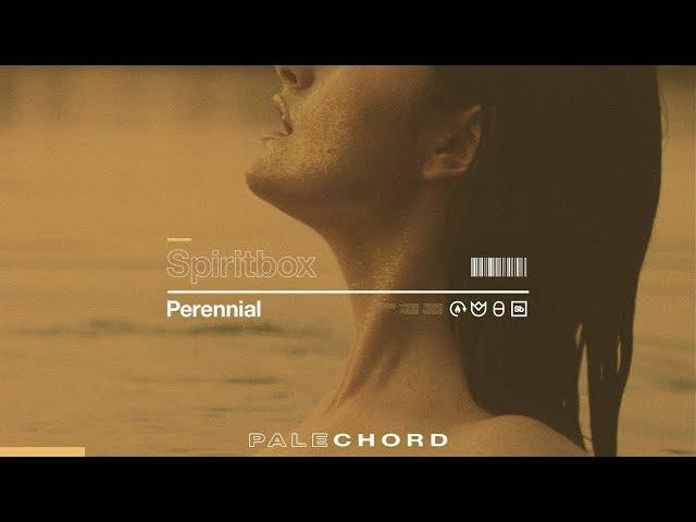 Spiritbox -   Perennial (Official Music Video)