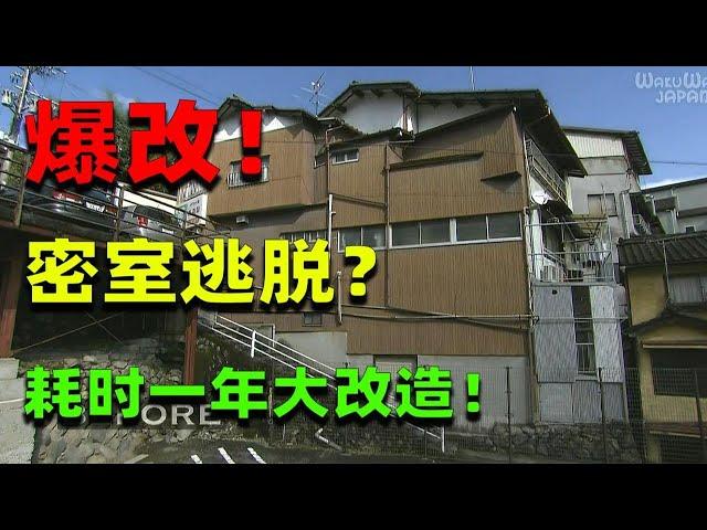 麒麟：巨型の家！毫无合理性！史上最奇葩格局！日本夫妇豪掷3700万日元爆改酒店！