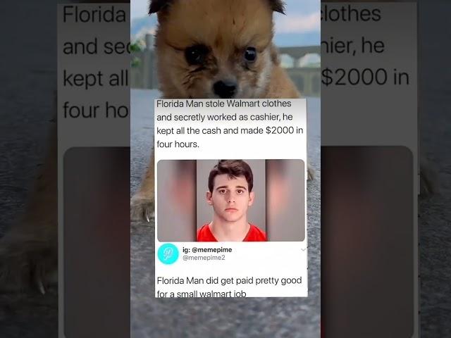 Man Makes $2000 in 4 Hours by Stealing Walmart Clothes and Secretly Worked As A Cashier. (Doggo)