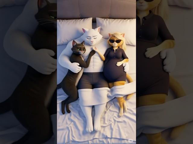  He Cheated On Her, UNTIL SHE DID THIS!!!  #catstory  #meow  #cat  #kitten #catshorts