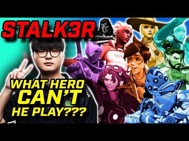 15 Heroes in 15 Minutes - The BEST of Stalk3r - Pro Overwatch MEGA Montage