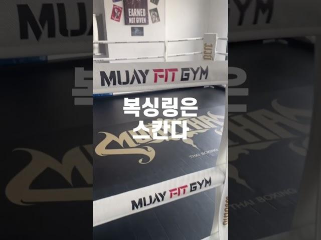매주 설치 마감?! 전국 체육관이 줄 서는 복싱링 정체 공개복싱링은 스칸다