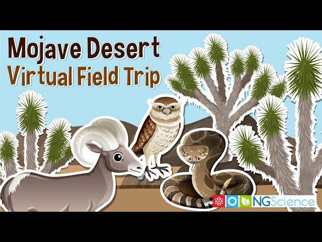 Mojave Desert – Virtual Field Trip