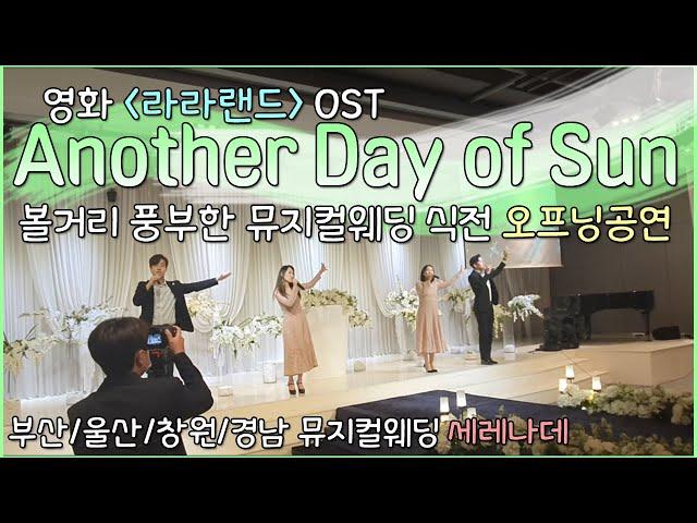 라라랜드 Another Day Of Sun 양산 지펠리체 뮤지컬웨딩축가