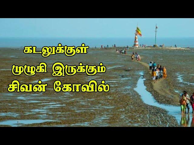 கடலுக்குள் முழுகி இருக்கும் சிவன் கோவில்- Nishkalank Mahadev Temple - Bhavnagar- Lord Shiva Temple