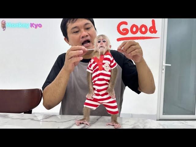 Monkey Kyo Asks Dad for a Surprise – So Cute and Funny!